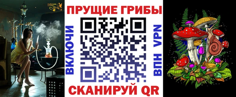 Галлюциногенные грибы Psilocybine cubensis блэк спрут онион Калининец